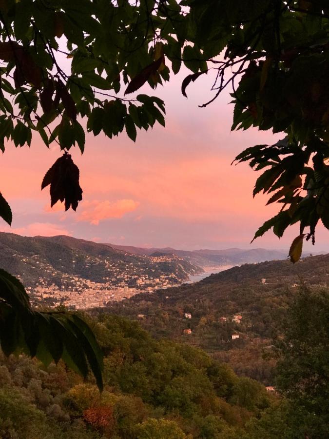 Bed and Breakfast La Riviera Bed & Breakfast Rapallo Exteriér fotografie