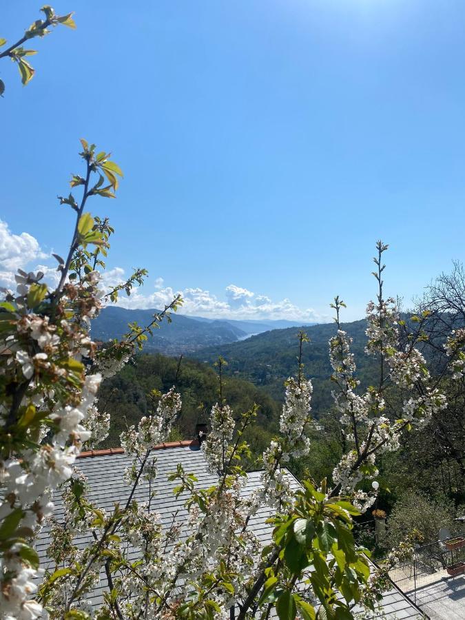 Bed and Breakfast La Riviera Bed & Breakfast Rapallo Exteriér fotografie